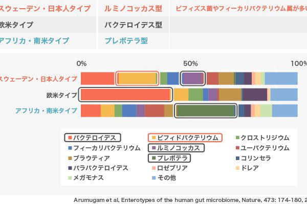 腸内細菌叢の3つのエンテロタイプ